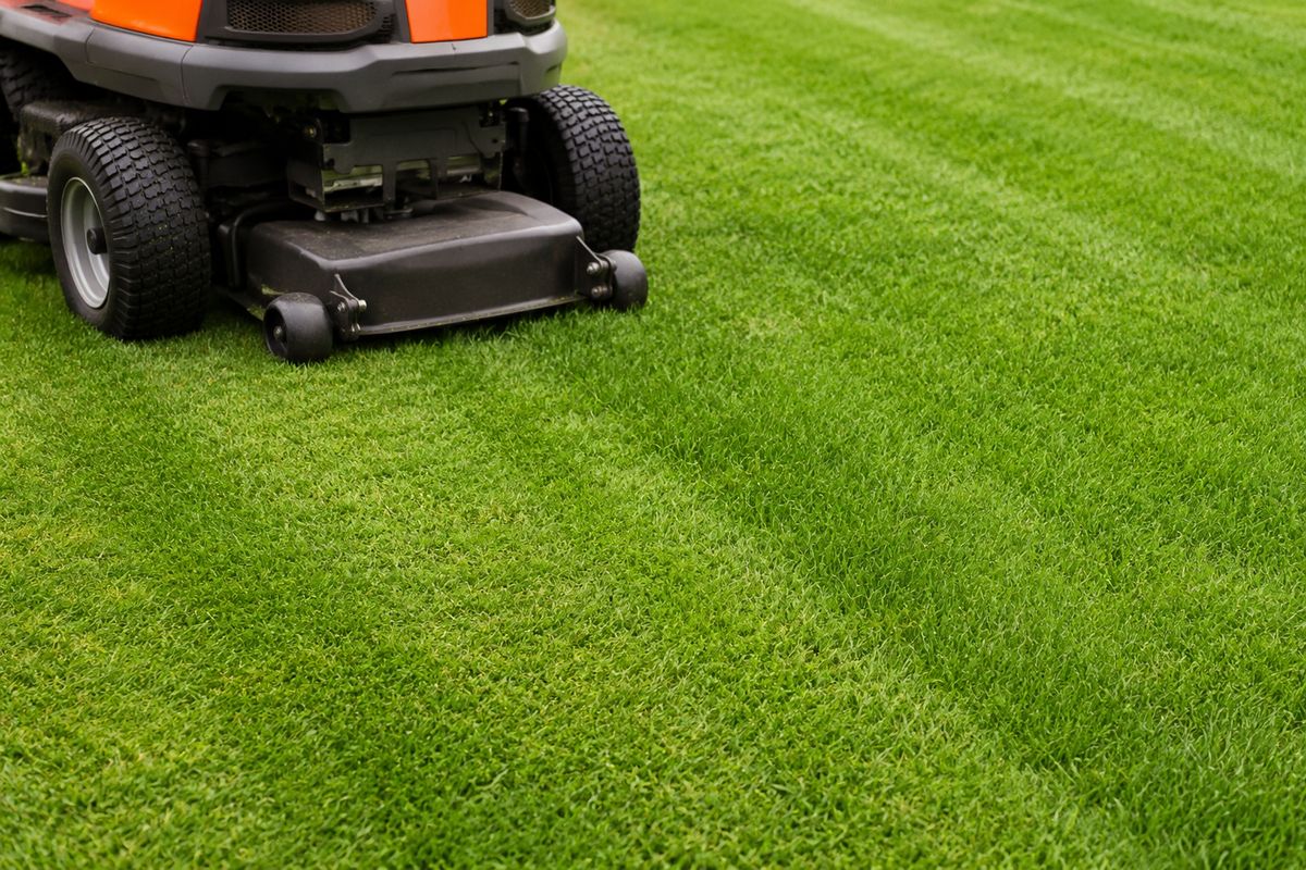 Tonte de pelouse par un jardinier